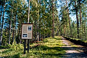 Punkaharju, Savonlinna. L'antica via di comunicazione sulla cresta dell'Esker.